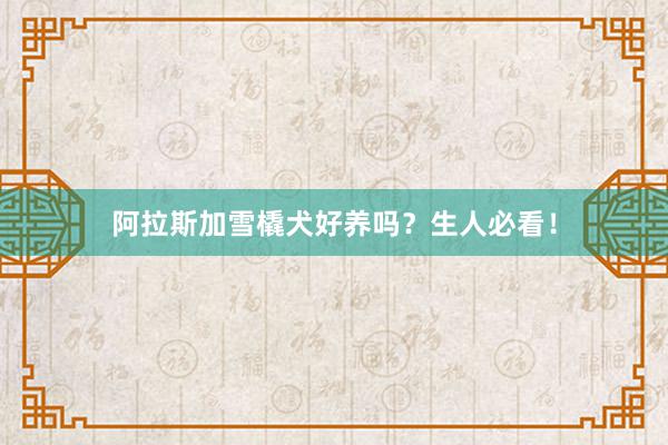 阿拉斯加雪橇犬好养吗？生人必看！
